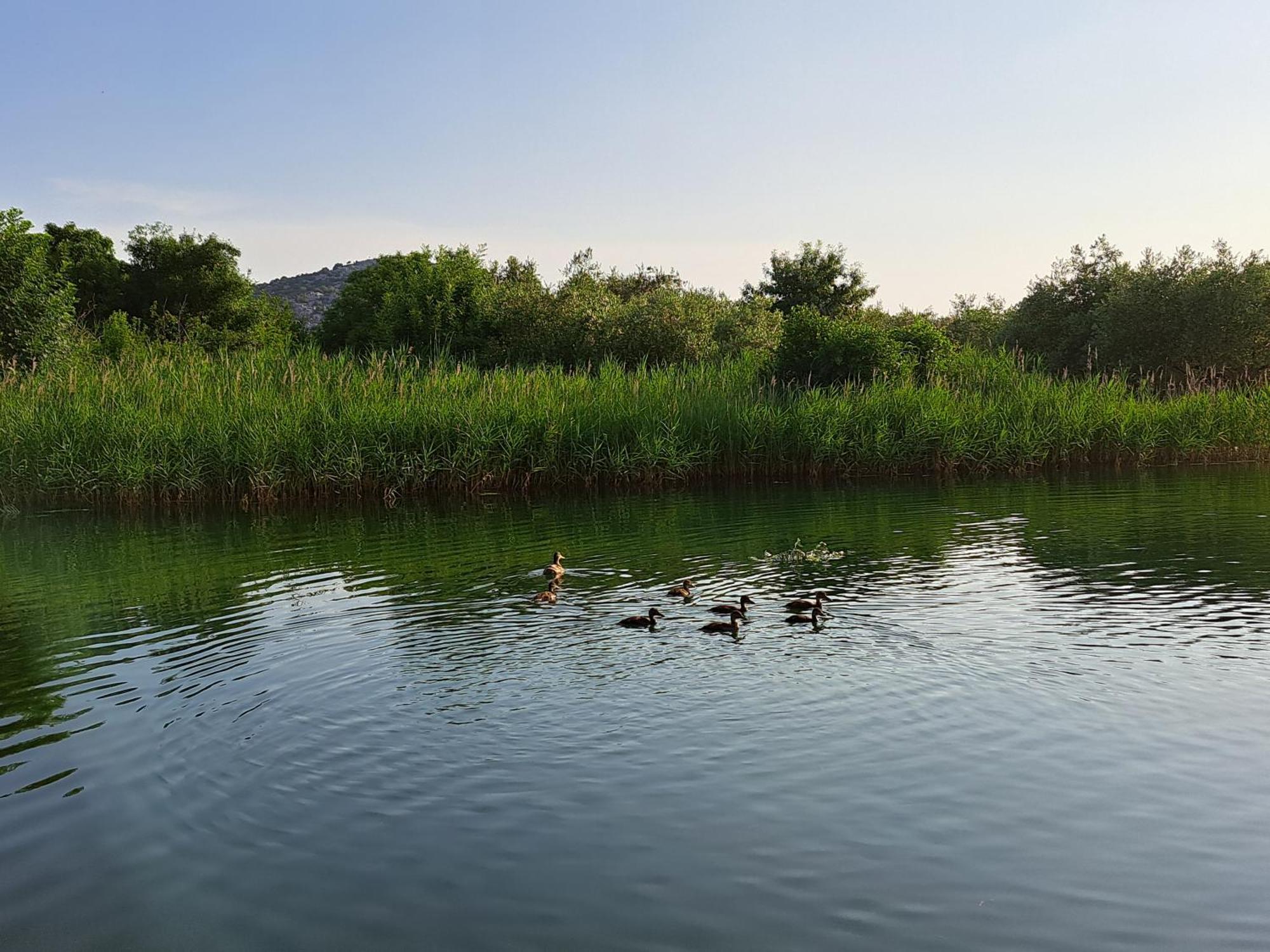 Apartmani Mostina Near River Ploce  Exterior photo